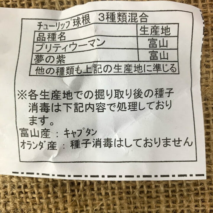 楽天市場 チューリップ球根 送料無料 ７球 百合咲 色 混合 プランター栽培 地植え可能 育てやすい花 10 1月植え 3 4月開花 荒川種苗 楽天市場店