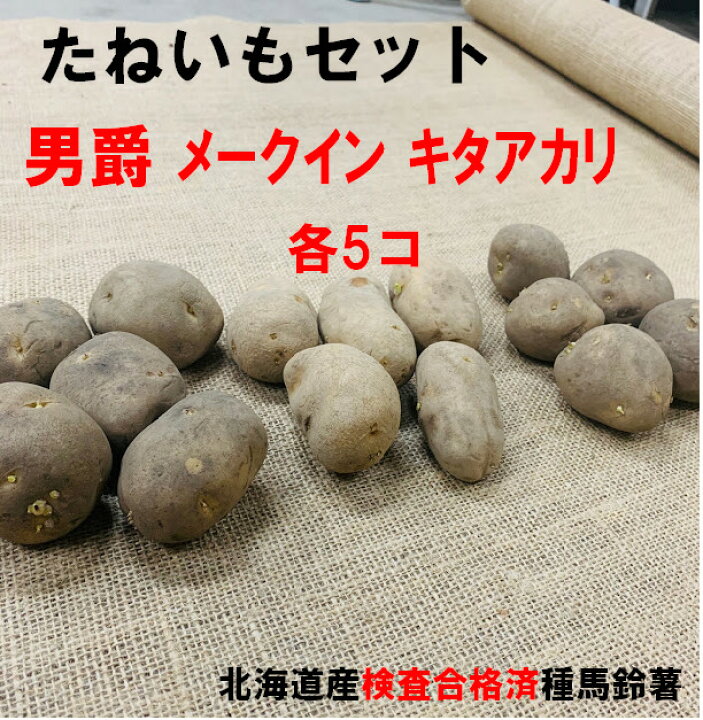 楽天市場 じゃがいも 種芋 男爵 ﾒｰｸｲﾝ ｷﾀｱｶﾘ 3種ﾀﾈｲﾓ各５コセット 王道品種食べ比べ ﾀﾈｲﾓは半分に切り分けられる大きさのタネです 北海道産検査合格済 種馬鈴薯 荒川種苗 楽天市場店
