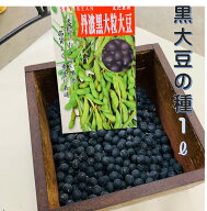 黒大豆の種 丹波黒大豆 1リットル 袋入り 約750粒 お徳用 栽培用の黒豆種子です。