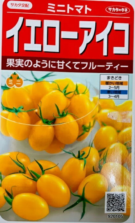 楽天市場 イエローアイコトマト 種 小袋詰 黄色ミニトマト サカタのタネ 荒川種苗 楽天市場店
