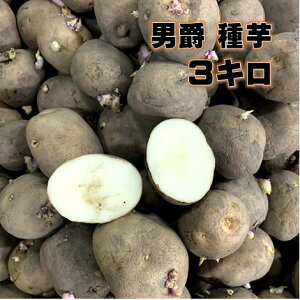 じゃがいも 種の人気商品 通販 価格比較 価格 Com