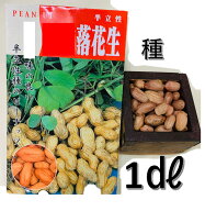 2月頃～発送 落花生 種 半立性種 1デシリットル 約55粒 露地直まきは5月初旬から 千葉県産 ピーナッツの種