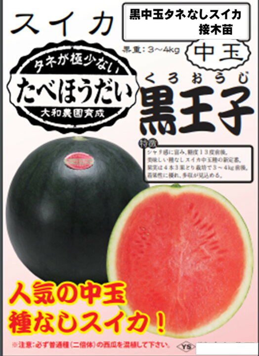 楽天市場 黒中玉タネなしスイカ 接木苗 品種名 食べほうだい黒王子 果重さ3 4キロ 種有りスイカとかならず混植を 種有り種の花粉をもらわないと果実がつきません 9ｾﾝﾁﾎﾟｯﾄ 開花後４０ ４３日後収穫 荒川種苗 楽天市場店