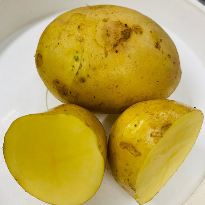 楽天市場 令和３年産じゃがいも 1ｷﾛ 種芋 秋植え用 品種名 さんじゅう丸 種芋ｻｲｽﾞm L混合 種馬鈴薯検査合格済 長崎県産 1ｷﾛ約5 8コ さんじゅうまる 荒川種苗 楽天市場店