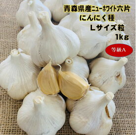 楽天市場 にんにく 種 花 ガーデン Diy の通販