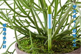 水枯れ予防にサスティー Sサイズ 1本 グリーン ホワイト 2〜3号鉢 直径 6〜9センチくらいの鉢用 片手で持てる鉢用 観葉植物 コチョウラン バラ ハーブ 多肉植物 シクラメン 花鉢 鉢物 野菜 水やりチェッカー 水分計 水分チェッカー 個別包装タイプ