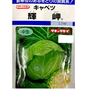 �P�� �L���x�c �� 1.3�~�� ��100�� �^�L�C��z �×� �Ă�݂���