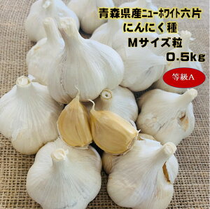 球根 野菜 栽培の人気商品 通販 価格比較 価格 Com