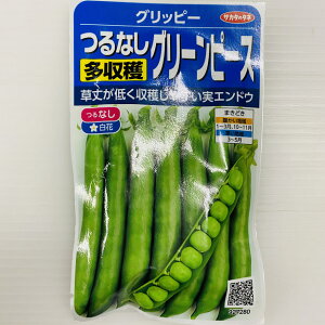 Ȃǂ @Obs[ ܋l@TJ^̃^l