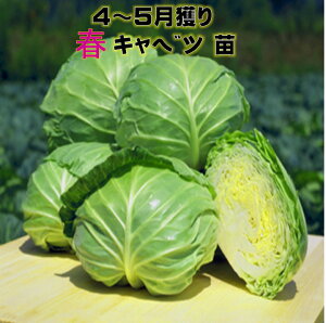 11`\ tǂ Lxcc 7.5Z`|bg i햼@tЂ莵@tg@n201@11A 4`5l ؕc