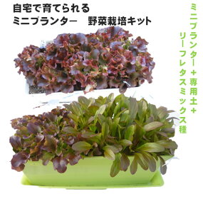 Ȃ琅`FbJ[t@xr[[t͔|Lbg@p~jv^[{~bNXxr[[t{|{y{͔|ChA@}V@x_@Lb`@d킩30`40