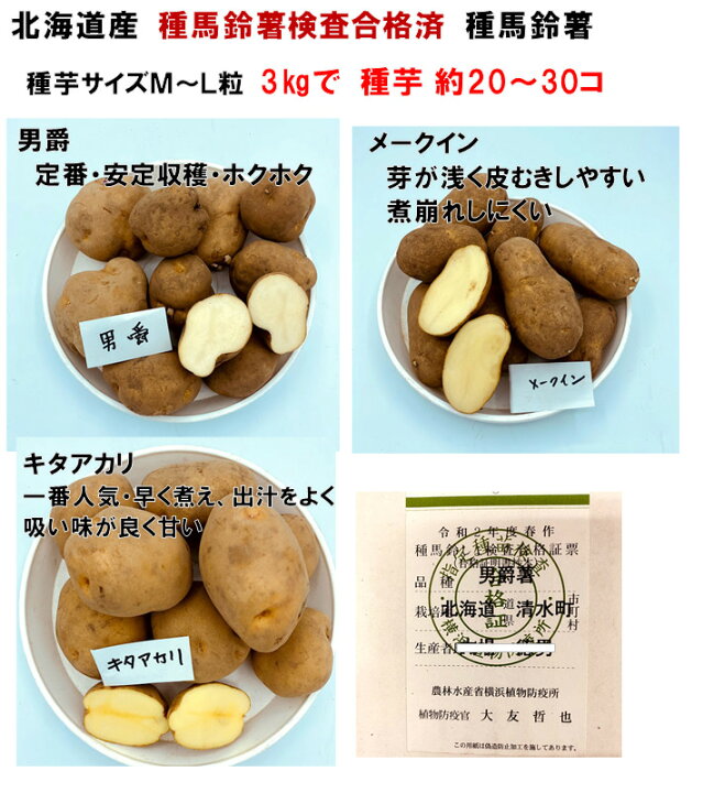楽天市場 男爵のみ 令和3年産じゃがいも 種芋 3kg 男爵 キタアカリメークイン とうや欠品中 合計3キロになるように選択 北海道産検査合格済 馬鈴薯種 タネイモ M Lサイズ 荒川種苗 楽天市場店 楽天市場 男爵のみ 令和3年産じゃがいも 種芋 3kg 男爵 キタアカリメークイン とうや欠品中 合計3キロになるように選択 北海道産検査合格済 馬鈴薯種 タネイモ M Lサイズ 荒川種苗 楽天市場店
