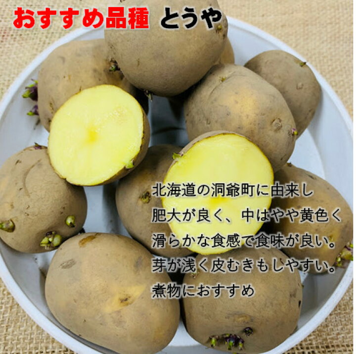 楽天市場 男爵のみ 令和3年産じゃがいも 種芋 3kg 男爵 キタアカリメークイン とうや欠品中 合計3キロになるように選択 北海道産検査合格済 馬鈴薯種 タネイモ M Lサイズ 荒川種苗 楽天市場店 楽天市場 男爵のみ 令和3年産じゃがいも 種芋 3kg 男爵 キタアカリメークイン とうや欠品中 合計3キロになるように選択 北海道産検査合格済 馬鈴薯種 タネイモ M Lサイズ 荒川種苗 楽天市場店