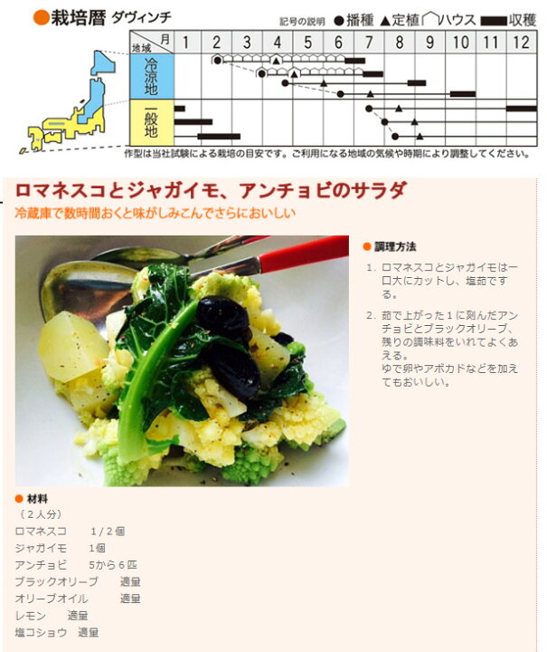 楽天市場 ロマネスコタイプ カリフラワー種 50粒 ダ ヴィンチ トキタ種苗品種 ゲストイタリア サンゴのような芸術的な花蕾 荒川種苗 楽天市場店
