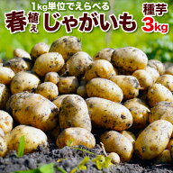 じゃがいも 種芋 3kg 合計3キロになるように選択 北海道産検査合格済馬鈴薯種 タネイモ M、Lサイズ　※メ…