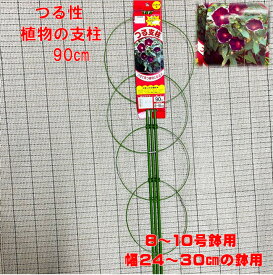 楽天市場 朝顔 鉢 支柱の通販