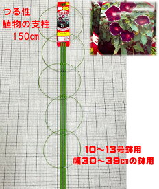 楽天市場 朝顔 鉢 支柱の通販