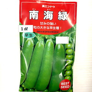 C  1fVbg 200 GhE O[s[X 邠