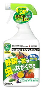 g}giXLE̊QEaCɃXsEgbvWMXv[1000mlXsEgbvWMXv[EEۍ܁@ AuV@RiW~ @ǂ񕲕a@tѕa