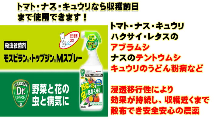 楽天市場 ﾄﾏﾄﾅｽｷｭｳﾘの害虫 病気にモスピラン トップジンｍスプレー1000ｍｌモスピラン トップジンｍスプレー殺虫殺菌剤 アブラムシ コナジラミ うどん粉病 葉かび病 住友化学園芸 処分も手軽なプラスチックタイプ容器 レタスハクサイのアブラムシにも 荒川種苗 楽天