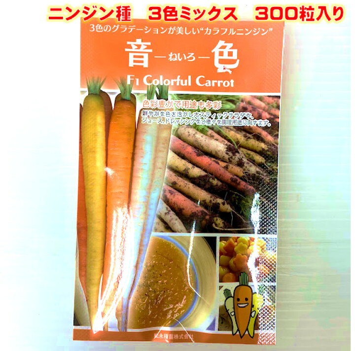 楽天市場 3色ミックス人参種 品種名 音色コーティング種子３００粒入 スティック サラダ バーニャカウダに カラフルニンジン 荒川種苗 楽天市場店