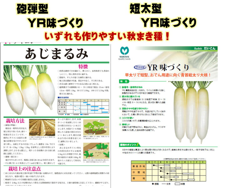 楽天市場 おでん大根の種 2種類 Yr味づくり あじまるみ 小袋詰 栽培面積 約10 15分 育てやすい秋まき品種 種苗メーカー 丸種 大和農園 交配種 Yr味づくり5ミリ入りあじまるみ3ミリ入り 荒川種苗 楽天市場店 楽天市場 おでん大根の種 2種類 Yr味づくり あじまるみ 小袋詰 栽培面積 約10 15分 育てやすい秋まき品種 種苗メーカー 丸種 大和農園 交配種 Yr味づくり5ミリ入りあじまるみ3ミリ入り 荒川種苗 楽天市場店