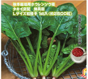 zE\E Lq 1fVi2500jLTCYq G{vCq@^LCzi H~zE\E XIWiKi@dʖ30@p