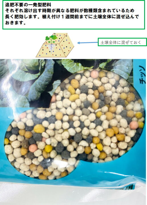楽天市場 元肥有機一発肥料１ｷﾛ 葉菜用 ｷｬﾍﾞﾂ ﾌﾞﾛｯｺﾘｰ ﾊｸｻｲ ｶﾘﾌﾗﾜｰ ﾘｰﾌﾚﾀｽ ﾎｳﾚﾝｿｳ ｺﾏﾂﾅ ｼｭﾝｷﾞｸ など秋 野菜の肥料におすすめ 家庭菜園 植え付け１週間前くらいに土壌全体に混ぜておくだけ 90日肥効型 住化農業資材 荒川種苗 楽天市場店