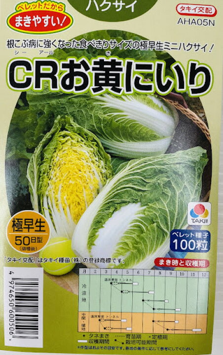 楽天市場】CRお黄にいりミニ白菜種 ｺｰﾃｨﾝｸﾞ種子100粒 タキイ交配 