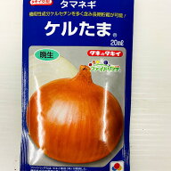 ケルたま玉葱 種 20ミリ入 約1800粒以上 大袋 晩生種 タキイ交配品種 1球平均280g　昨日成分ケルセチンを…