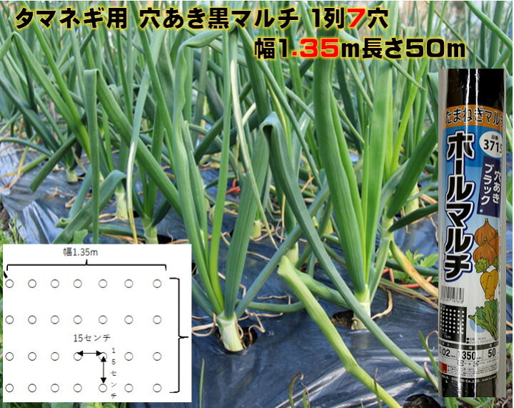 楽天市場 タマネギ用穴あき黒ポリマルチ 幅1 35ｍ 長さ50ｍ 厚み0 02 株間15ｾﾝﾁ 穴径4 5センチ 1mでタマネギ苗が約42本植えられます 予め穴が開いているから植えやすい 玉ねぎ苗 にんにく ニンジン ホウレンソウ カブにも 荒川種苗 楽天市場店
