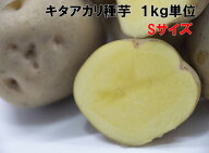 4/6以降発送予定 種芋 キタアカリ 2Sサイズ 1キロ切らずに植えられるサイズ　北海道道産検査合格済 じゃ…