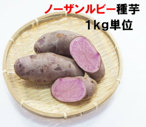  m[Ur[ 1L i8`12RjOAgƂsNF@XYi Ⴊ n鏒 ̗ǂŋߔN1ԐlC