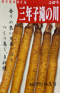 싍  9`10A3`4܂@1.2m@Ӑn@H~lɍœK  {t3`4Ŋ20Z`ɂȂ悤Ԉ܂ 3NqƂ3NoĂԂ炩ȂƂӖ