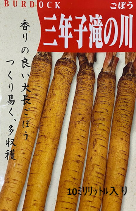 楽天市場 滝野川牛蒡 種 10ﾐﾘﾘｯﾄﾙ 約290粒 9 10月 3 4月まき 根長約1 2ｍ 晩生系 秋冬獲りに最適 貯蔵も長い 本葉３ ４枚で株間２０ｾﾝﾁになるよう間引きます ３年子とは３年経っても花が咲かないという意味 荒川種苗 楽天市場店