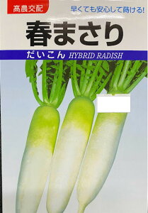 t܂p卪 i햼t܂  100 ^J}V[hi z n gEɒx͔|͈ 悭