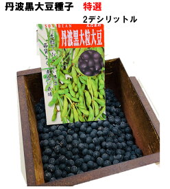 特選 丹波黒大豆 種子 2デシリットル 約160粒 栽培用の黒豆種子　早どりして黒枝豆にも可