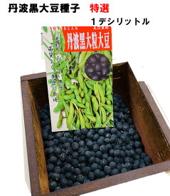 特選 丹波黒大豆 種子 1デシリットル （約80粒）栽培用黒豆種子 早とりして黒枝豆としても美味しい