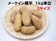 3/25以降発送 メークイン Sサイズ 1キロ（約15～20）種芋 切らずに植えられるちょうどいいサイズ　北海道…