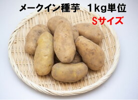 3/25以降発送 メークイン Sサイズ 1キロ（約15～20）種芋 切らずに植えられるちょうどいいサイズ　北海道道産検査合格済 じゃがいも種芋 種馬鈴薯