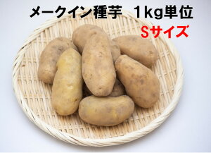 3/25�ȍ~���� ���[�N�C�� S�T�C�Y 1�L���i��15�`20�j��� �؂炸�ɐA�����邿�傤�ǂ����T�C�Y�@�k�C�����Y�������i�� ���Ⴊ������� ��n�鏒