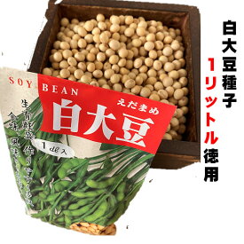 白大豆 種 1リットル 約1800粒　大豆種子