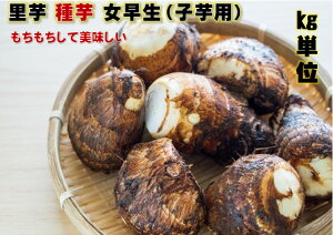 3/���{���`���� ������ ������� 1�L����8�`15�R�@���Q���Y�@�q����H�p�ɂ��܂��B �����@�T�g�C���@�c