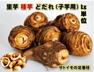 3/末頃～発送 土垂(どだれ） 里芋 種芋 1キロ 子芋 青茎 ねばりがあり煮崩れしにくい