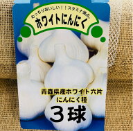 ホワイト六片Lサイズ3球 青森県産 にんにく種 約18片 等級A 健康・スタミナ野菜 9/中下旬〜10/末頃植え付…