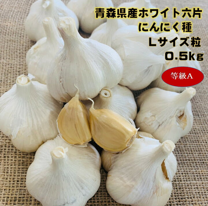 楽天市場】ホワイト六片 Lサイズ0.5キロ青森県産 にんにく種 等級A (約 