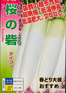 ̍(Ƃ) tǂ z~卪 ɔӒ igz