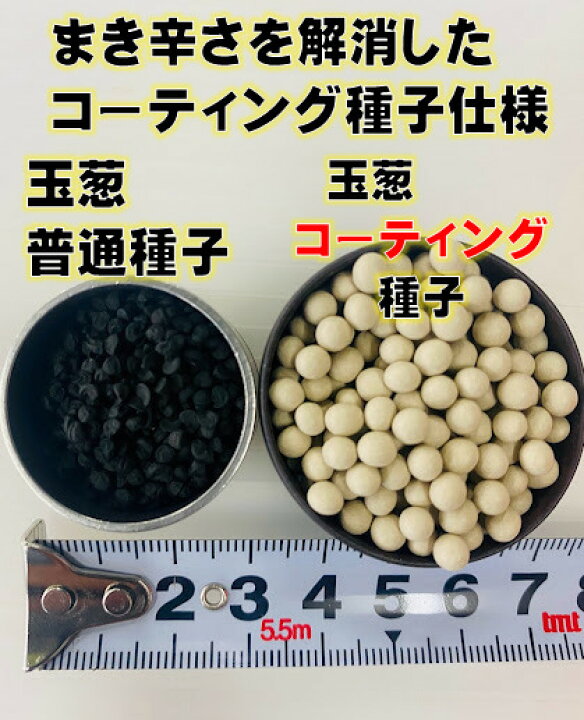 楽天市場】ソニック玉葱 種 コート種子約600粒（40ミリリットル）2L 