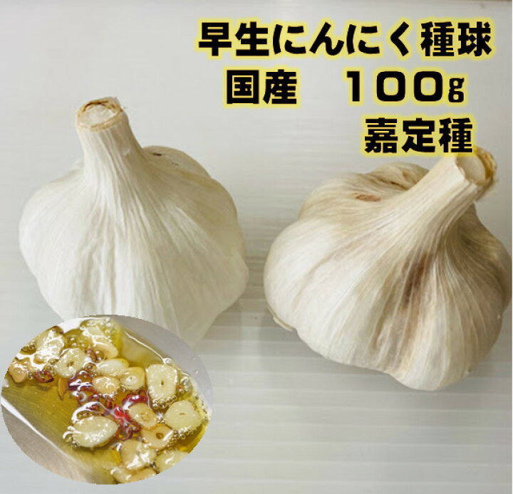 楽天市場】にんにく種球 嘉定種 100g 国産 かていしゅ : 荒川種苗