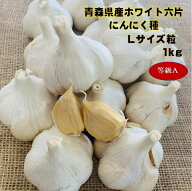 ホワイト六片Lサイズ1キロ青森県産 にんにく種球 等級A (約12〜13球入）約75〜80片分 国産 ガーリック　9…